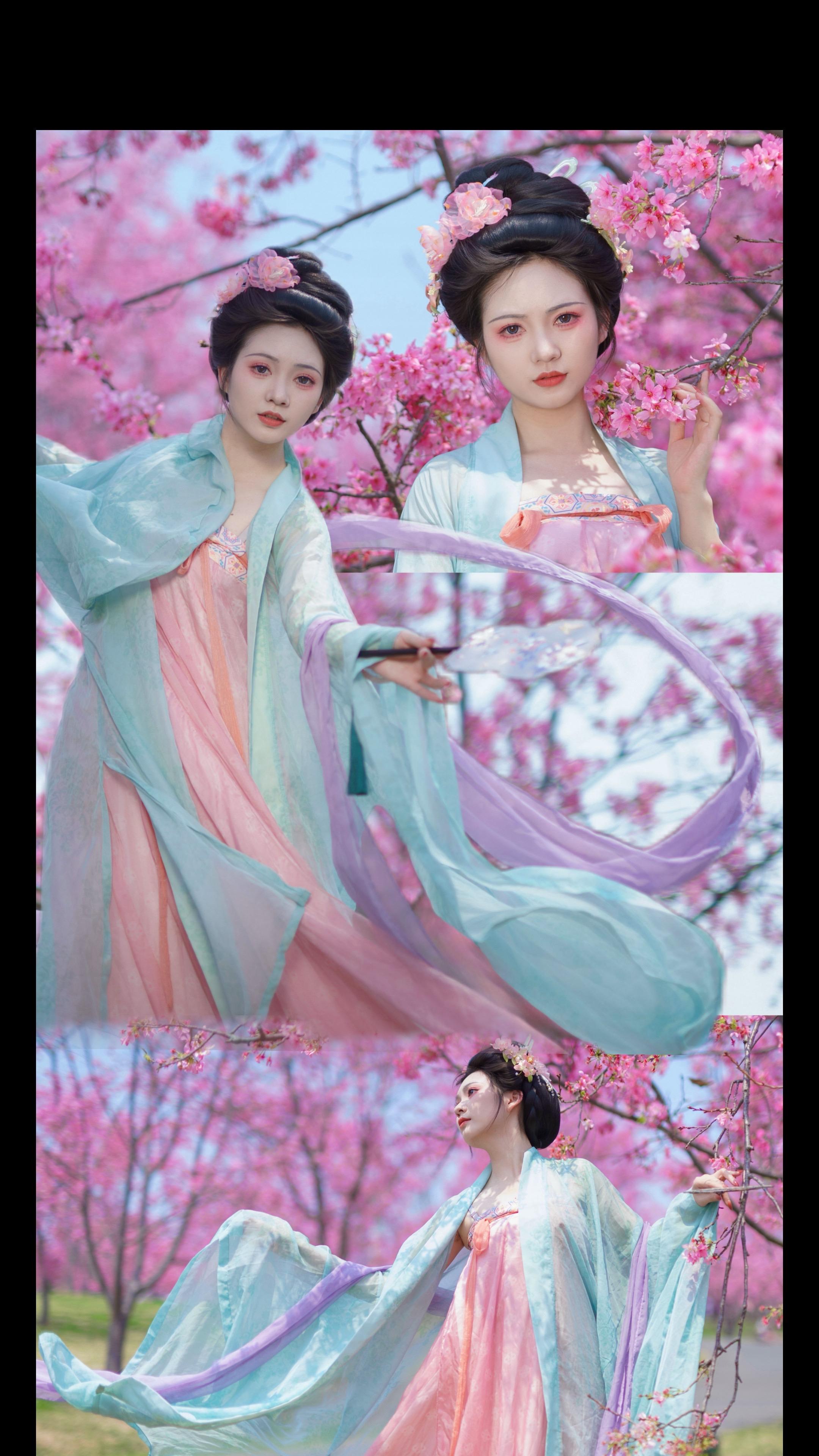 春日与樱。