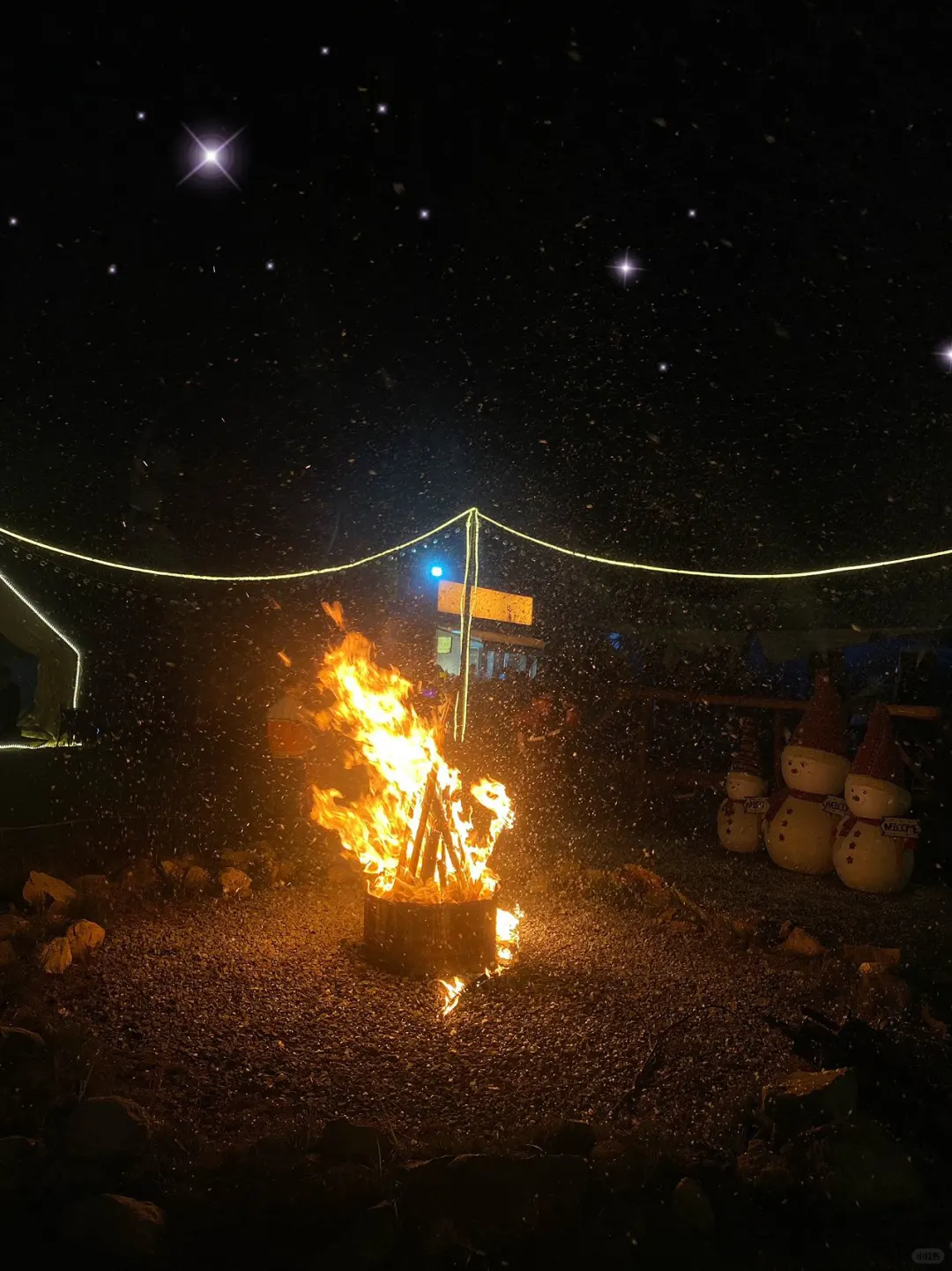 最jujuju性价比的烧鸟自助，不容反驳！