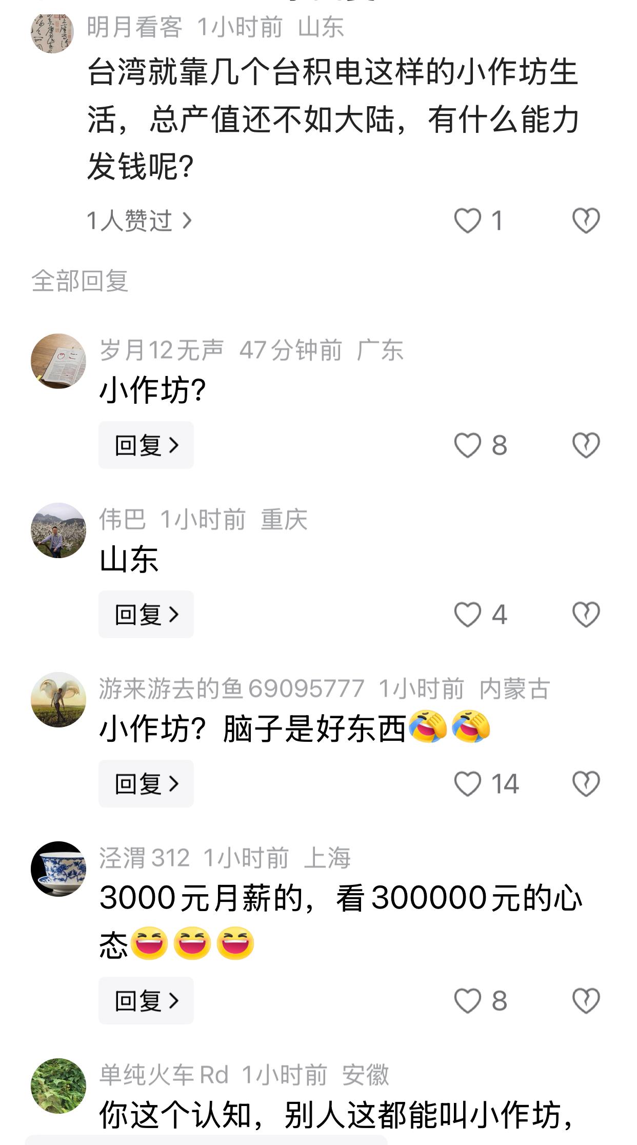 有人发帖说，台湾就靠几个台积电这样的小作坊生活，总产值还不如大陆，有什么能力发钱