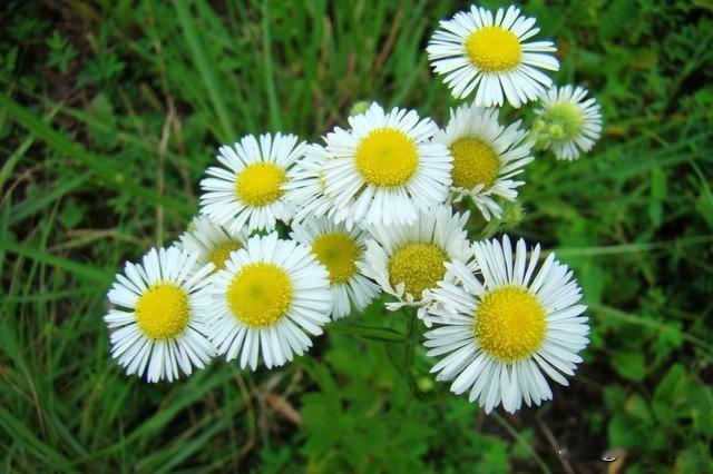 安徽一男子酒后去按摩店足疗按摩，发现女技师长相漂亮，并且衣着性感暴露，再加上房间