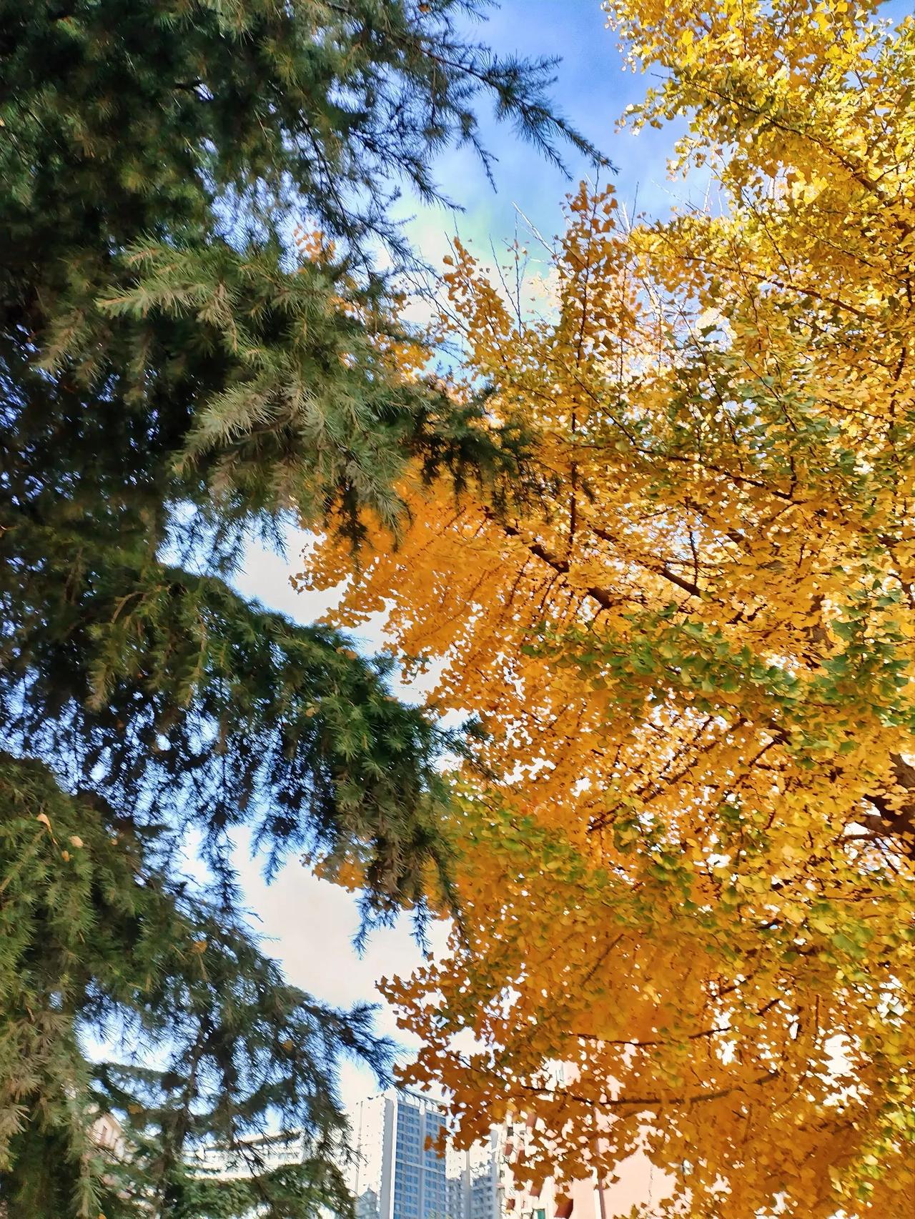 #属猴人遇到什么事会难以启齿#
一个挑战智商的问题，我来回答：

1、遇到红灯。