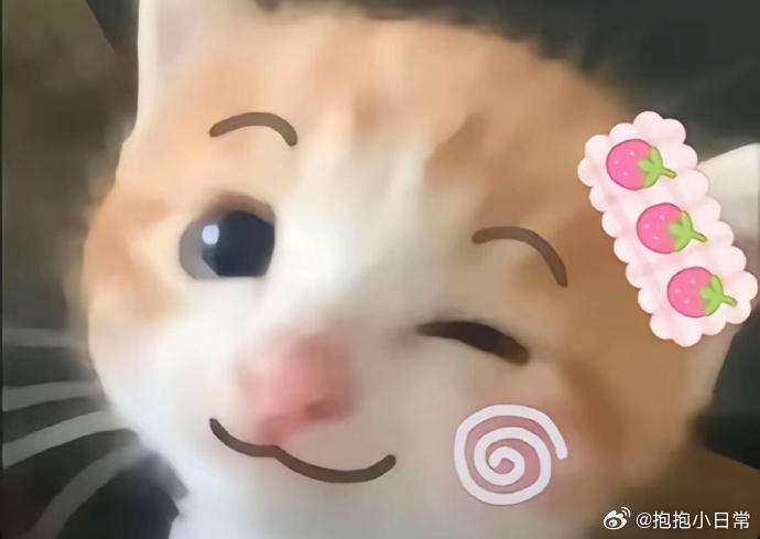 只有本地人才懂的浙江省饭 浙江早餐的灵魂必须是粢米饭团，裹满榨菜和肉松，一口下去