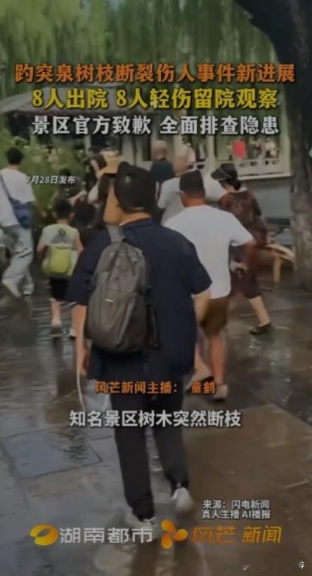 建议积极救治受伤人员，整顿，修剪老残枯干的树木，树枝，树干，全面排查隐患保障游客