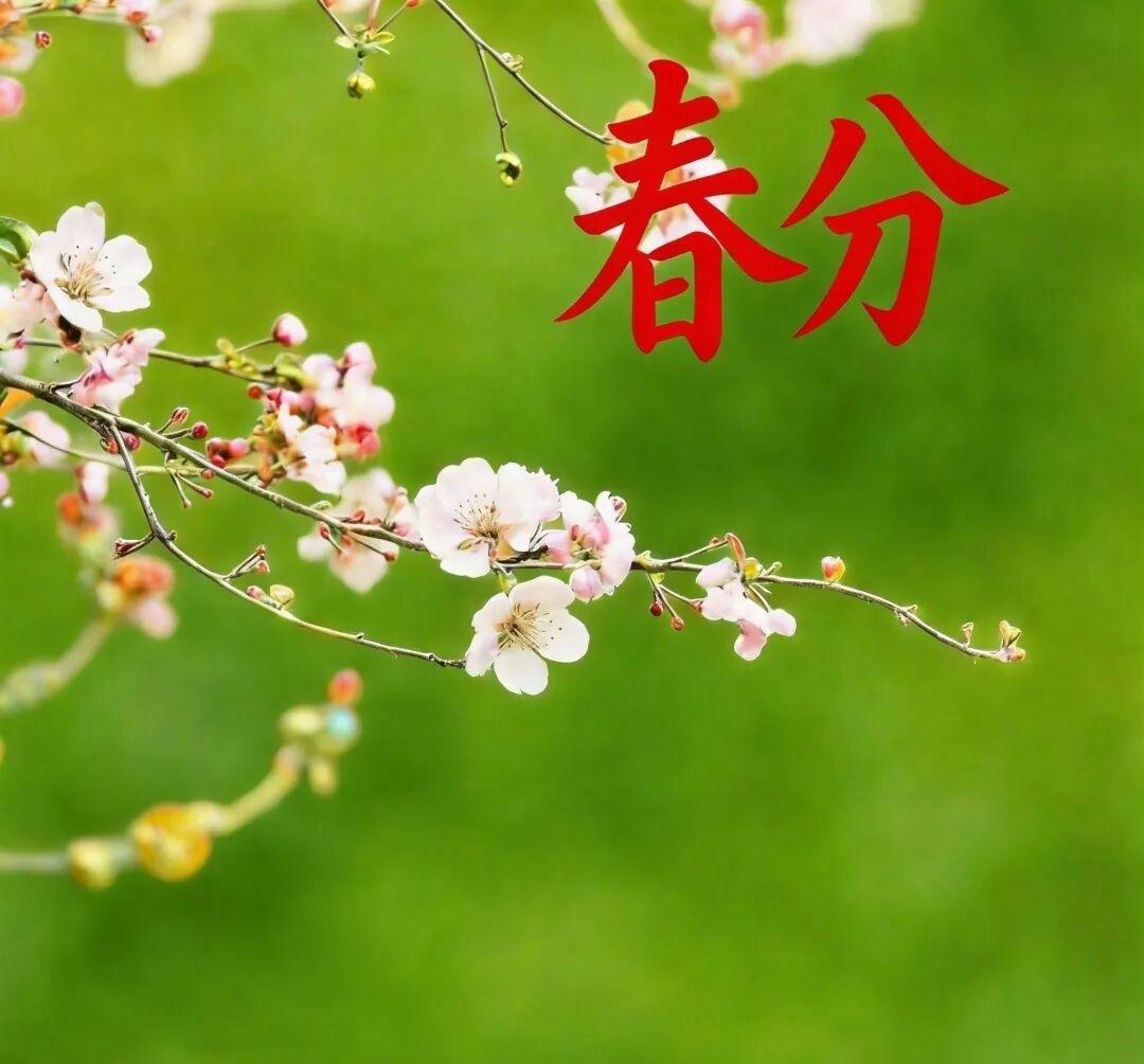 🐉 龙抬头·腾飞之兆
一抬头，风调雨顺；二抬头，鸿运当头；三抬头，万事不愁。