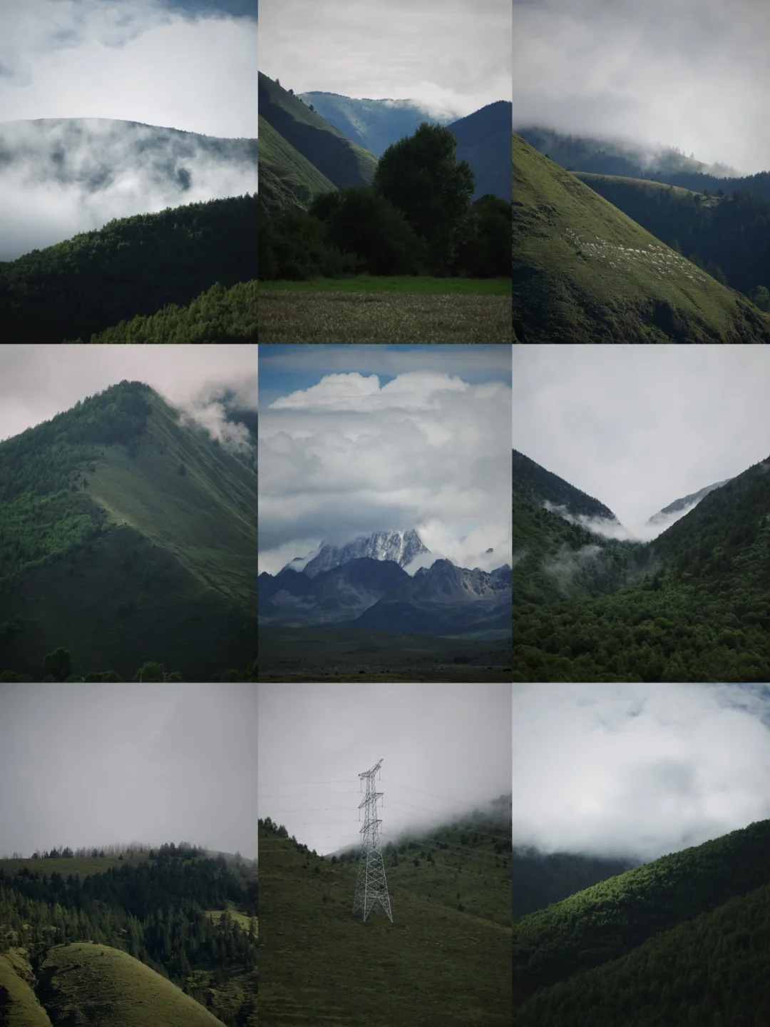 川西丨有了雾 山便有了灵气