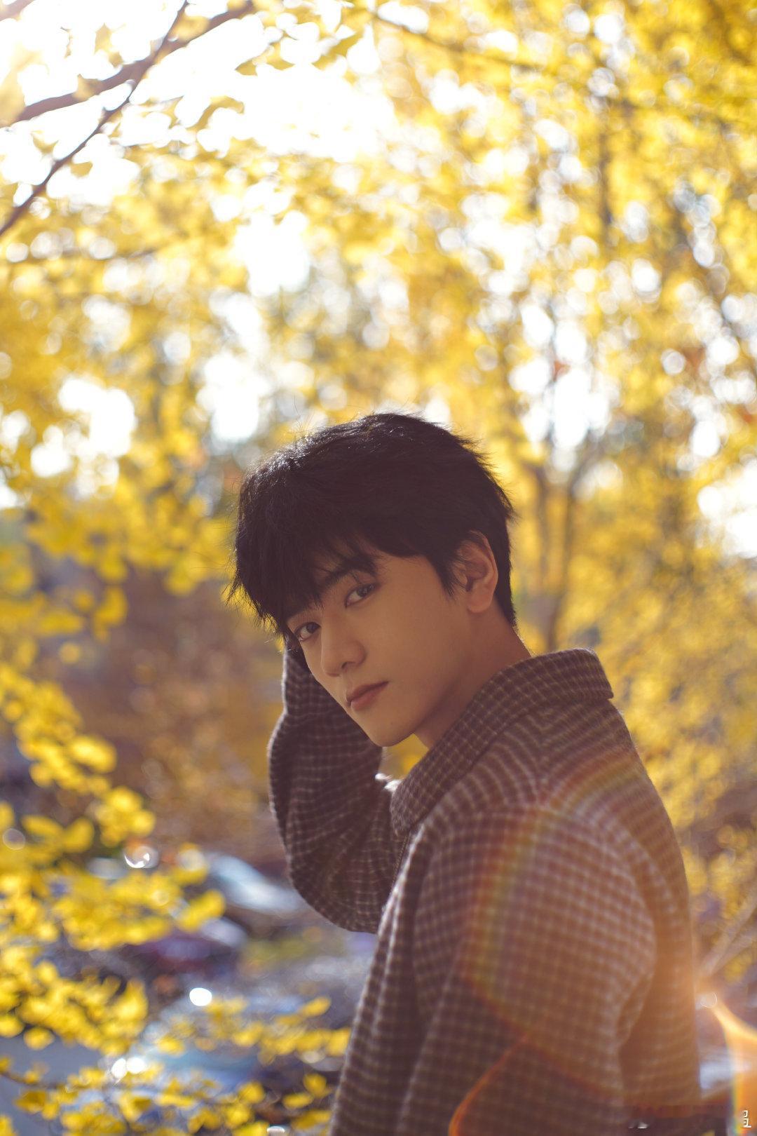 胥尧怎么就下线了 胥尧小苦瓜太让人心疼了😖活在谎言里、为仇人卖命，知道真相却改