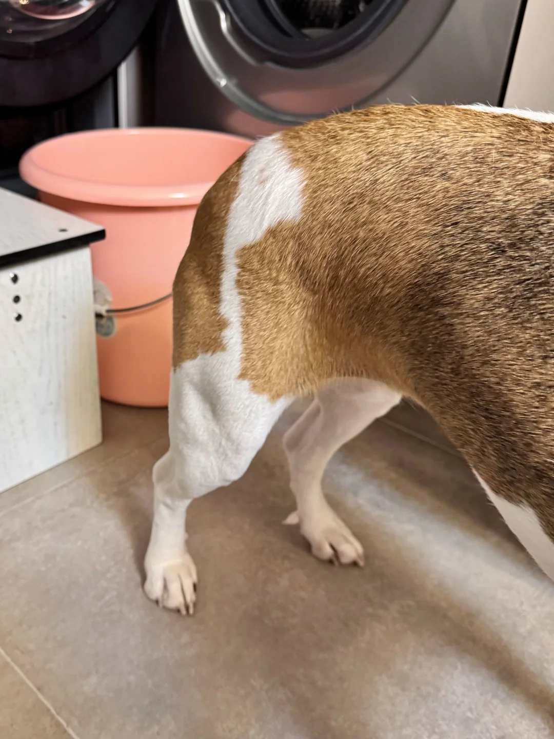 当优等生犯错后