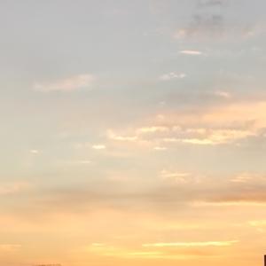 林间温馨看松鼠