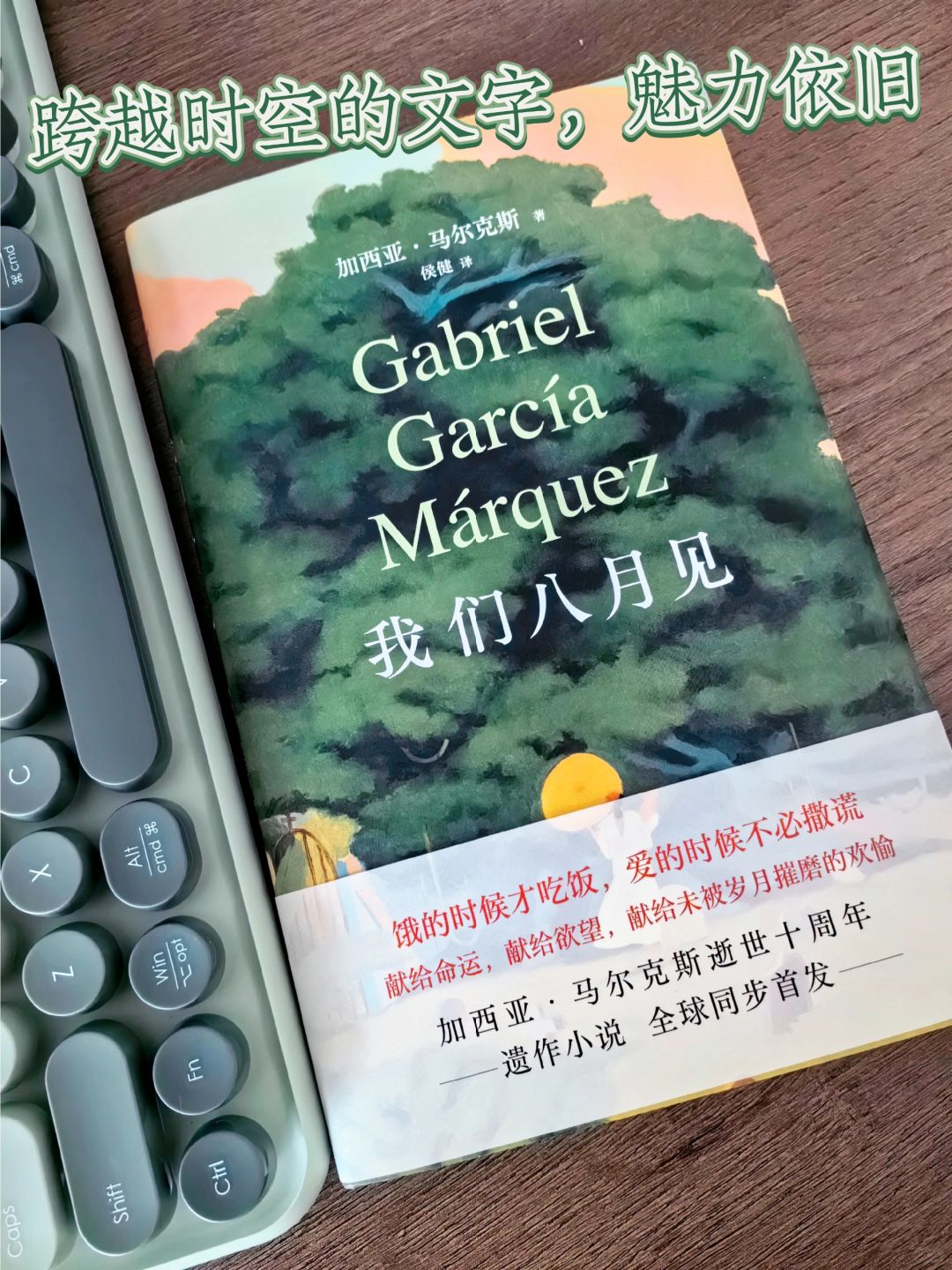 我们八月见｜西西弗首发，书虫们快快围观！