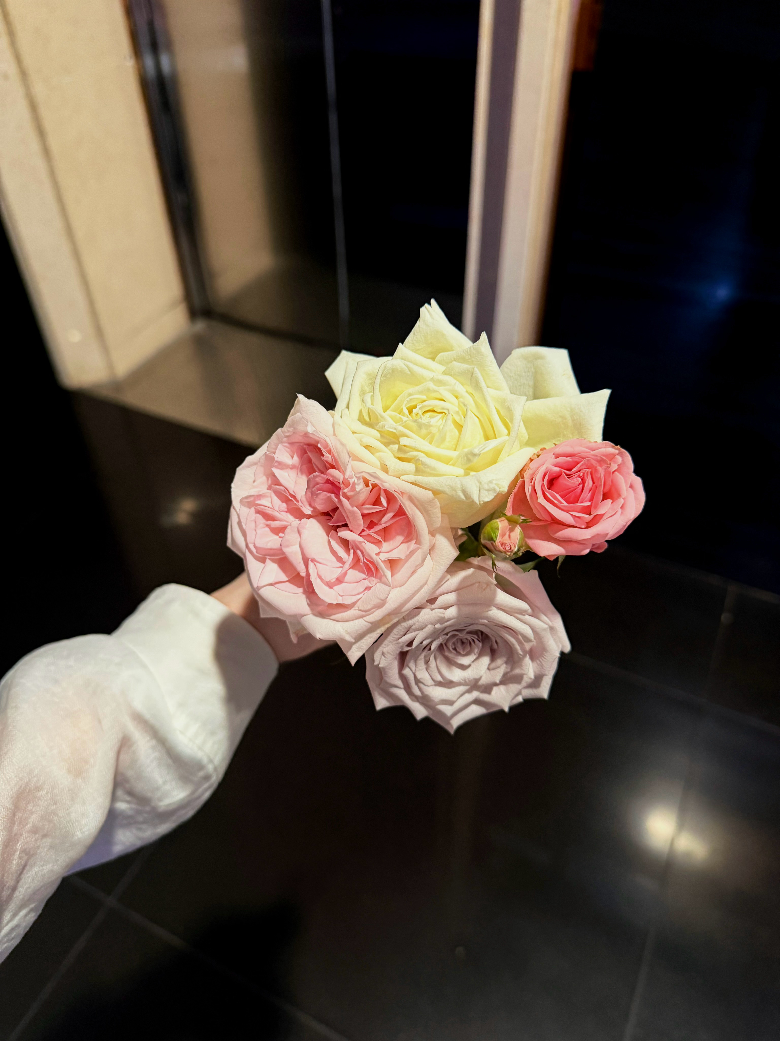 丁禹兮花开锦绣 ​​​