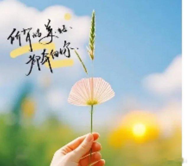 你有没有试过，单凭一个微信头像，就能猜出对方大概多大年纪、做什么工作、文化层次如