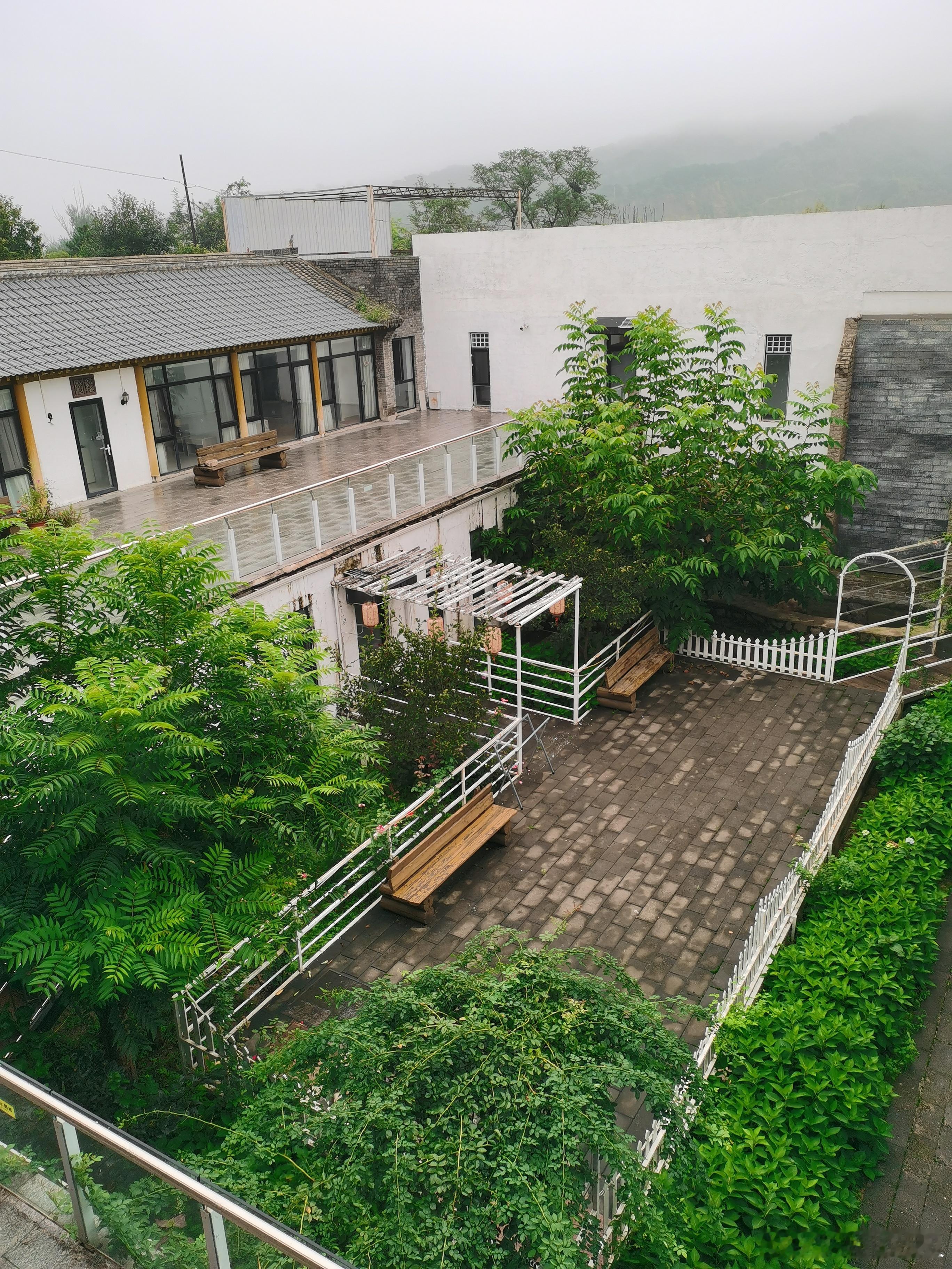 生活手记 昨天下了一夜雨，早晨山上有点雾气，今天处暑很凉爽。 北京