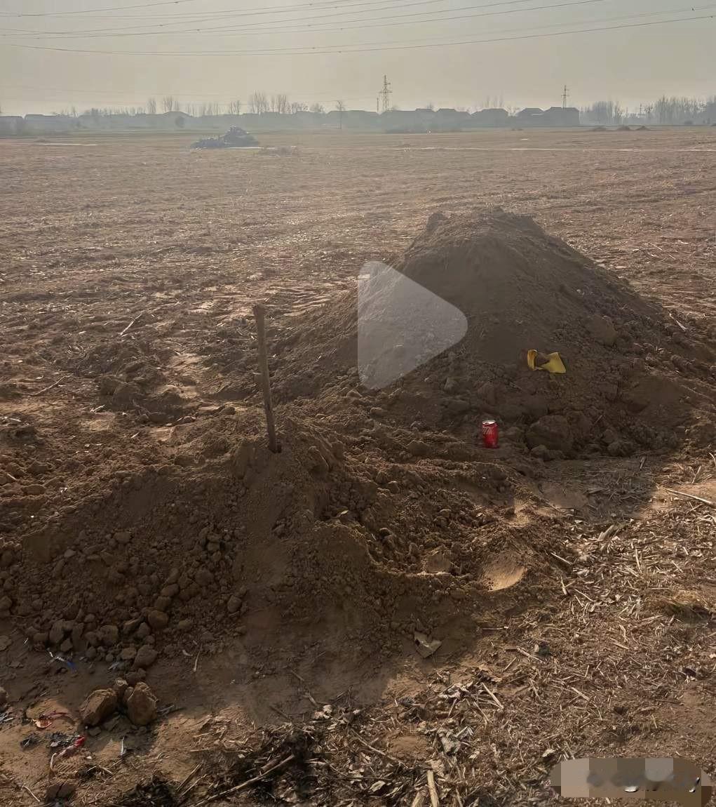 1993年出生的高广辉今年只有32岁！如今坟堆旁只有一听可乐陪伴着他！

高广辉