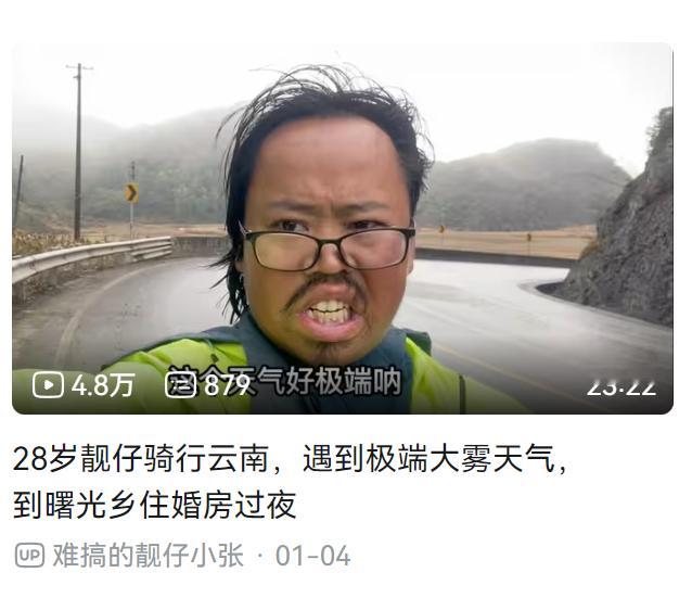 我看到这个封面就忍不住想看看了