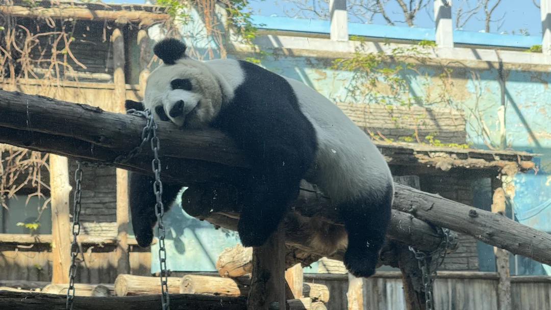 点点宝贝怎么可以可爱成这样！！！