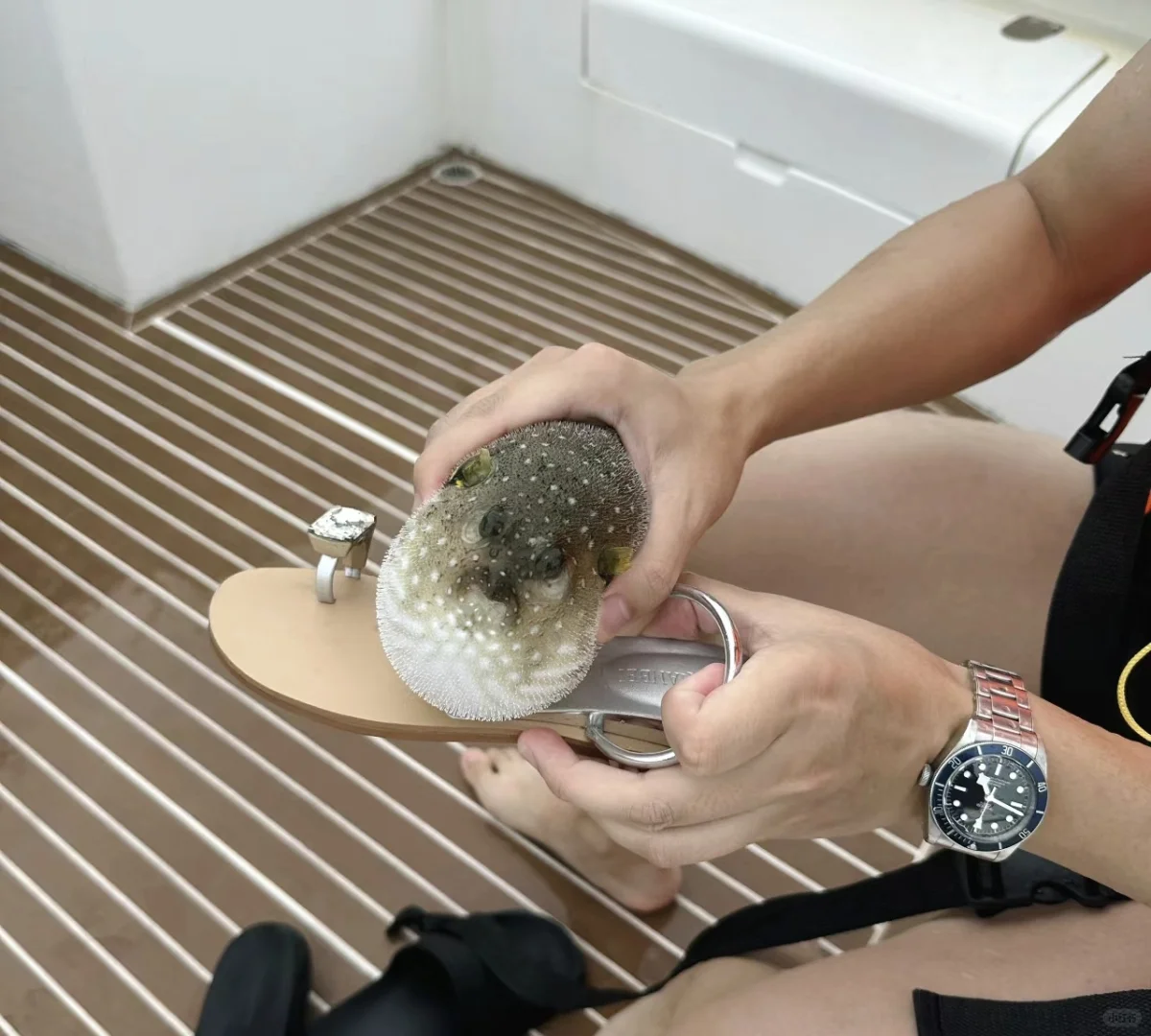 涠洲岛天气开始好啦可以来玩丨浮潜海钓