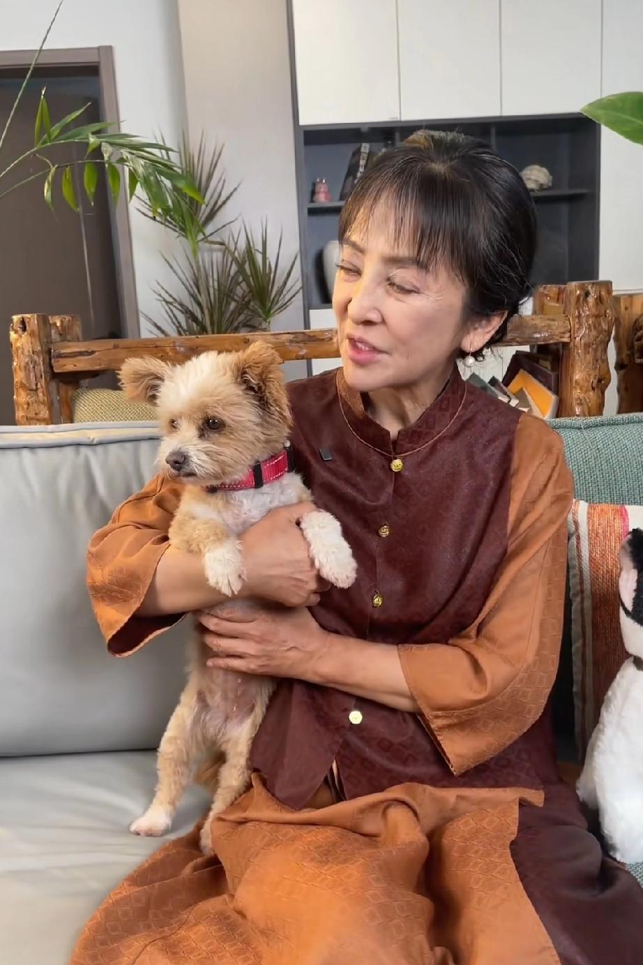 第一次看见李勤勤穿得这么整齐漂亮，平日里看到的她，总是邋里邋遢、灰头土脸的模样。