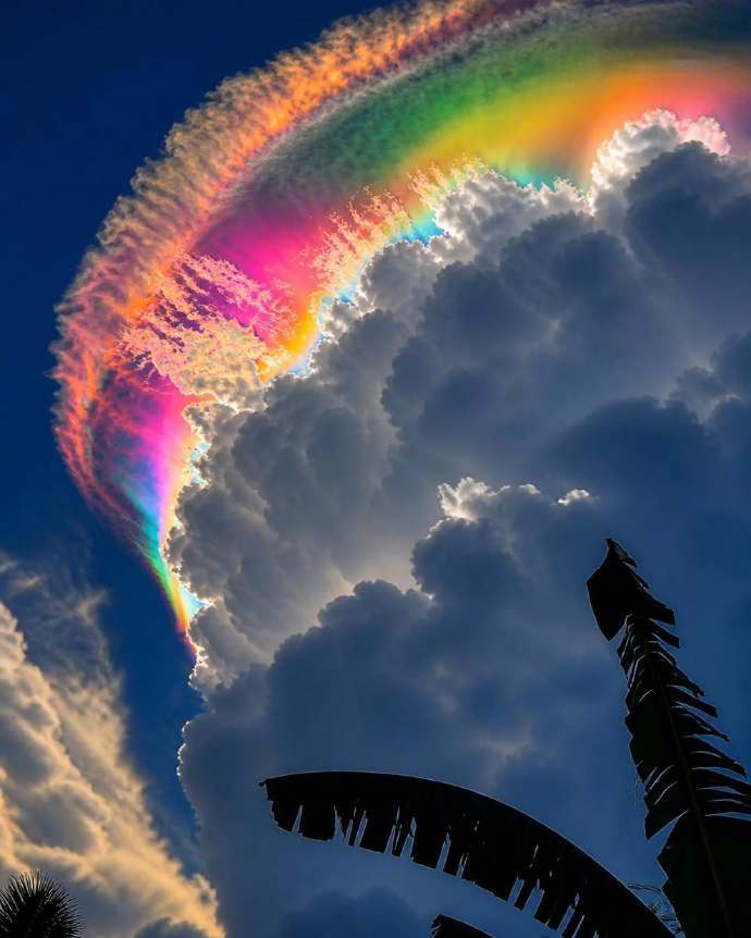 见者好运🌈