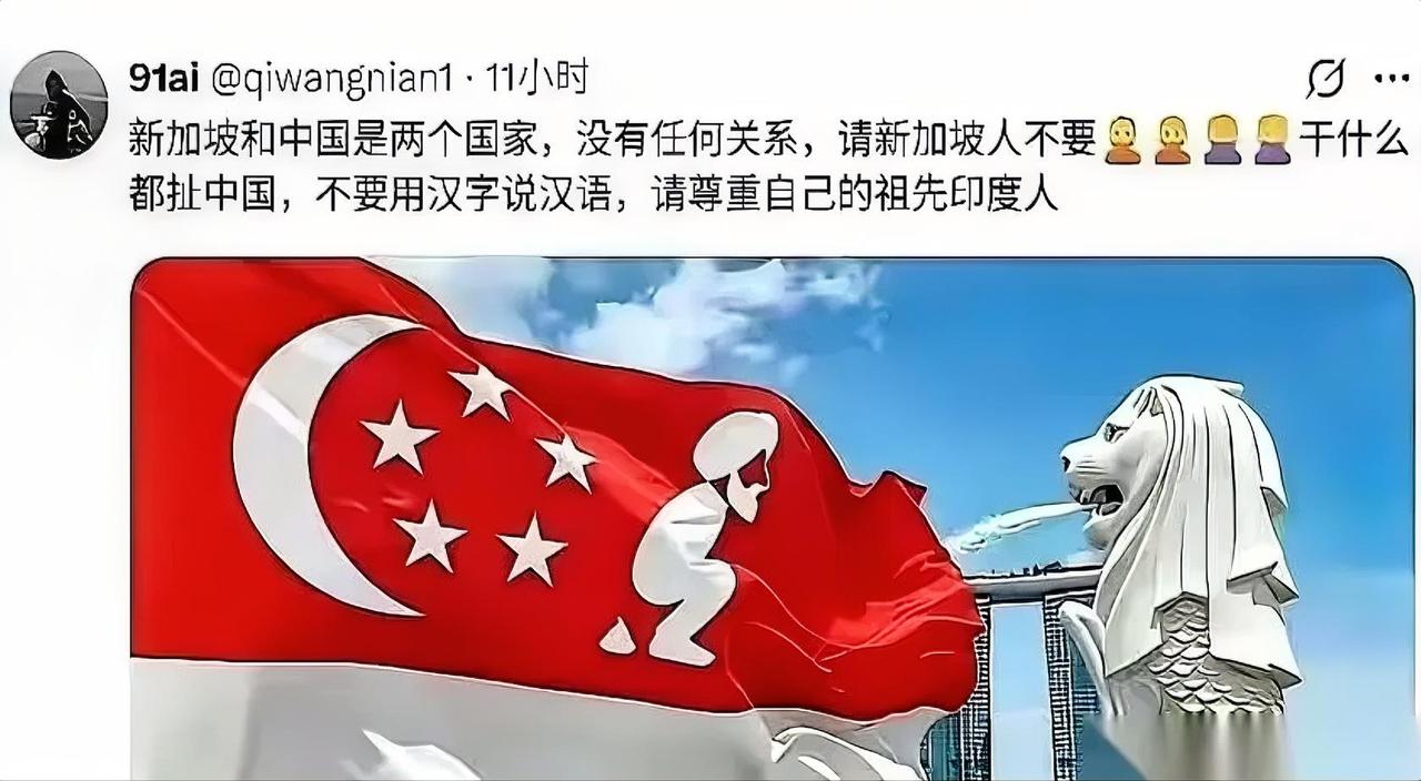 这两天，外网被一句极度刺耳的反讽刷爆了：“请新加坡尊重自己的祖先印度人，别干什么