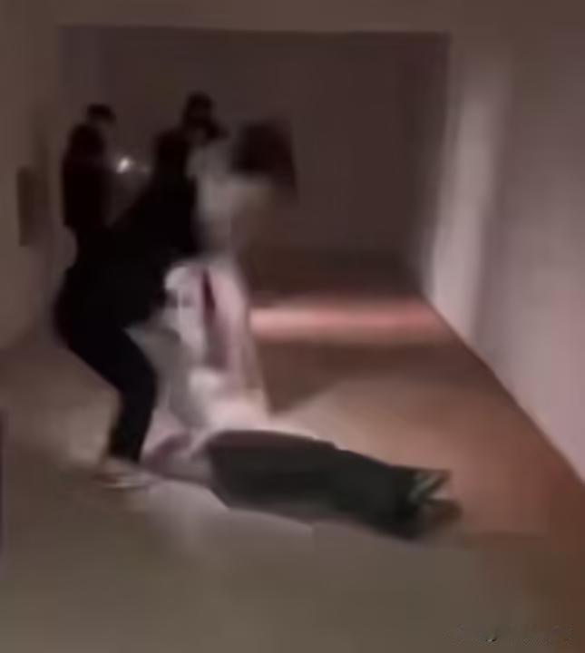 加强教育未成年
近日，内蒙古五原县
发生一起严重霸凌案件
因与女孩刘某发生矛盾