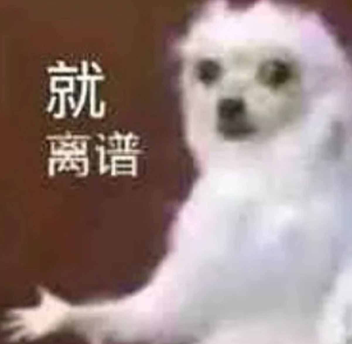 当最让你意想不到的两个人莫名其妙的在一起了： ​​​