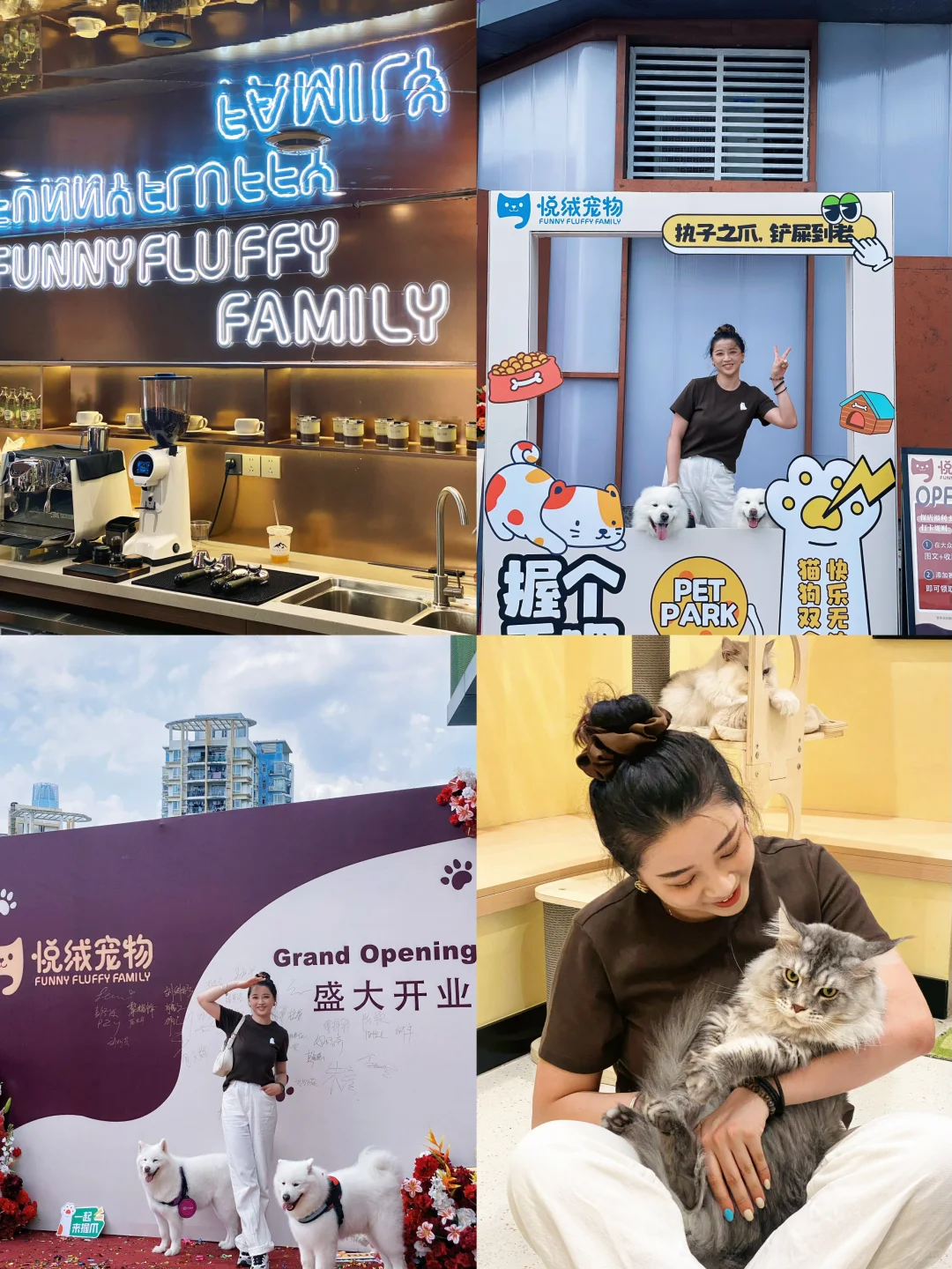 东莞新店|可以撸猫🐱的奶油风宠物店