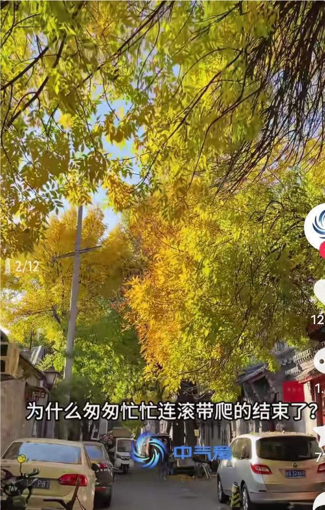 换季式冷空气来了

最近，来自西北乌鲁木齐、东北哈尔滨的消息告诉我们，雪已经悄然