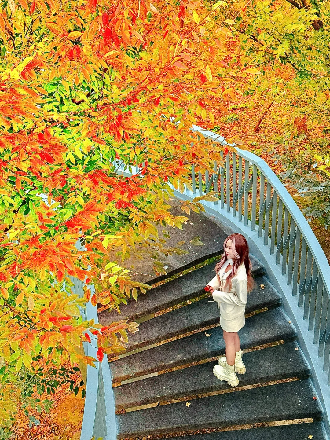 上海秋日Citywalk｜误入一场金色童话🍁🧡
