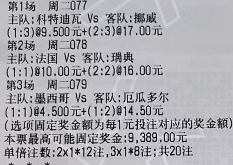No.1077 世界杯 科特迪瓦vs挪威No.2078 世界杯 法国vs瑞典No
