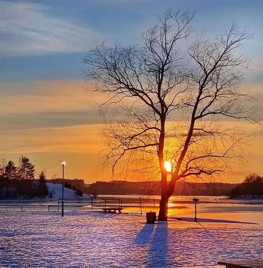 明知相思乱心神，
奈何相思已入魂。
春夏秋冬漫长夜，
两眼泪花思一人。
来生不入