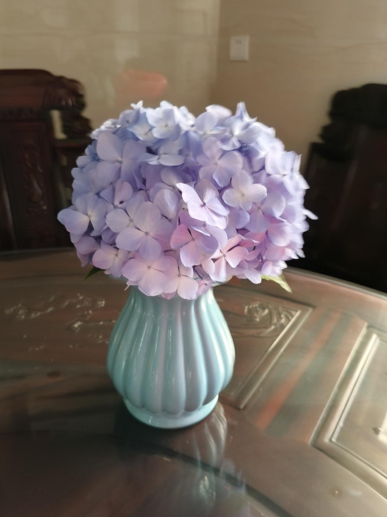 清新淡雅的蓝紫色绣球花，装点在复古的青花瓷瓶中，静谧而美丽。