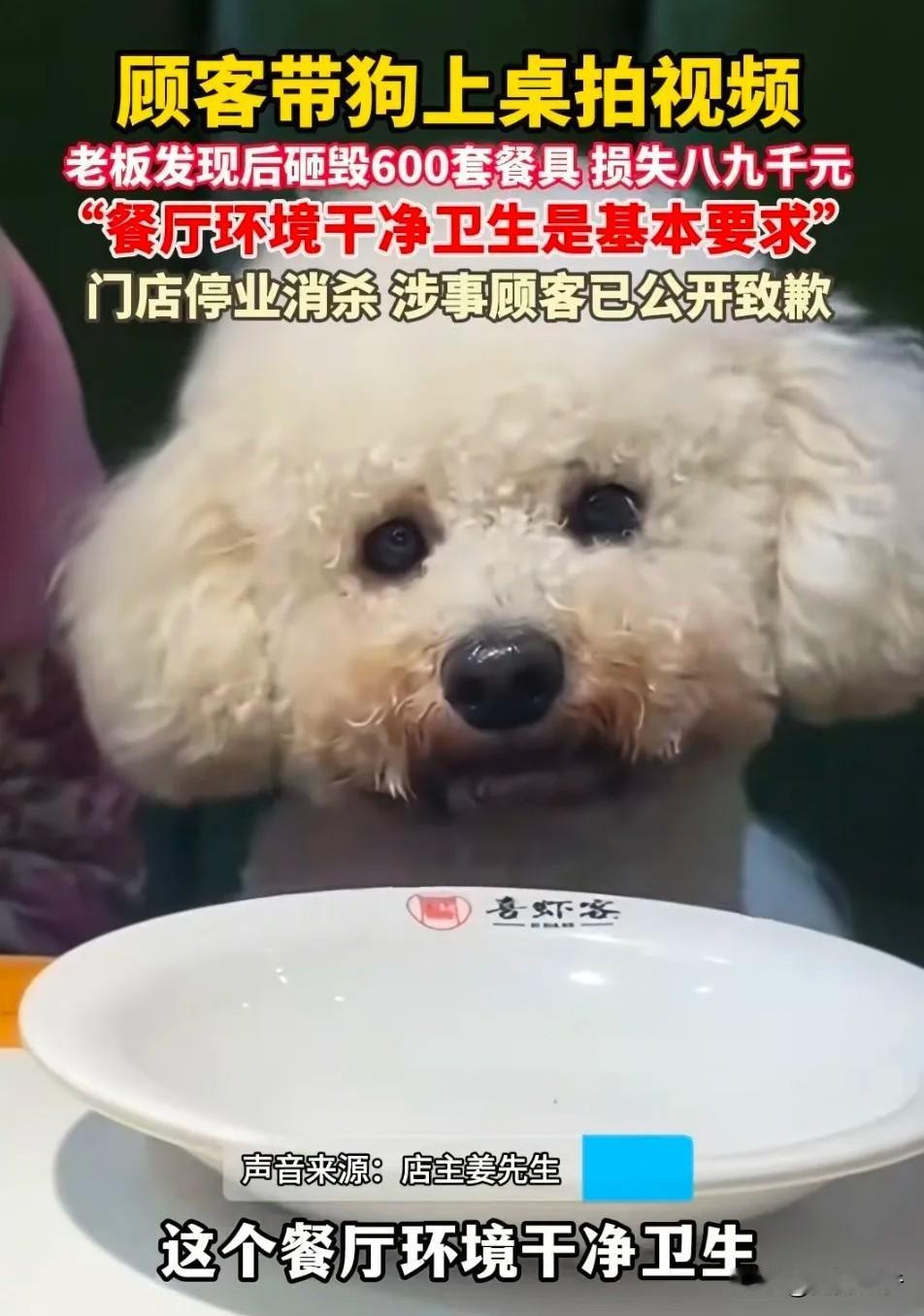 河南商丘一顾客带狗进餐厅还拍视频发网上。老板查监控确认狗没碰餐具，还是当众把所有