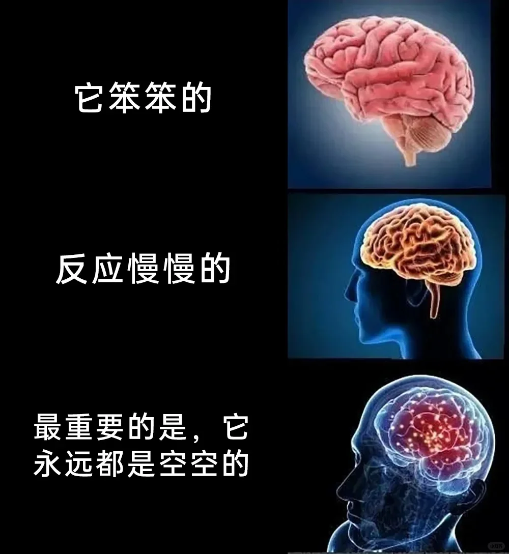 今日份meme