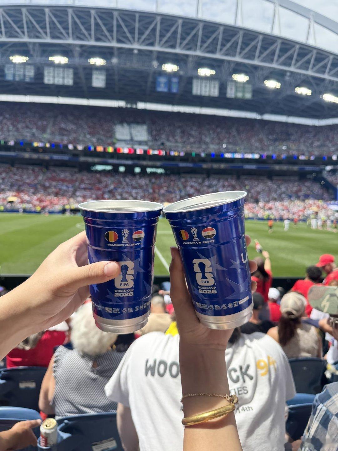 坏消息：看不懂球😭 世界杯