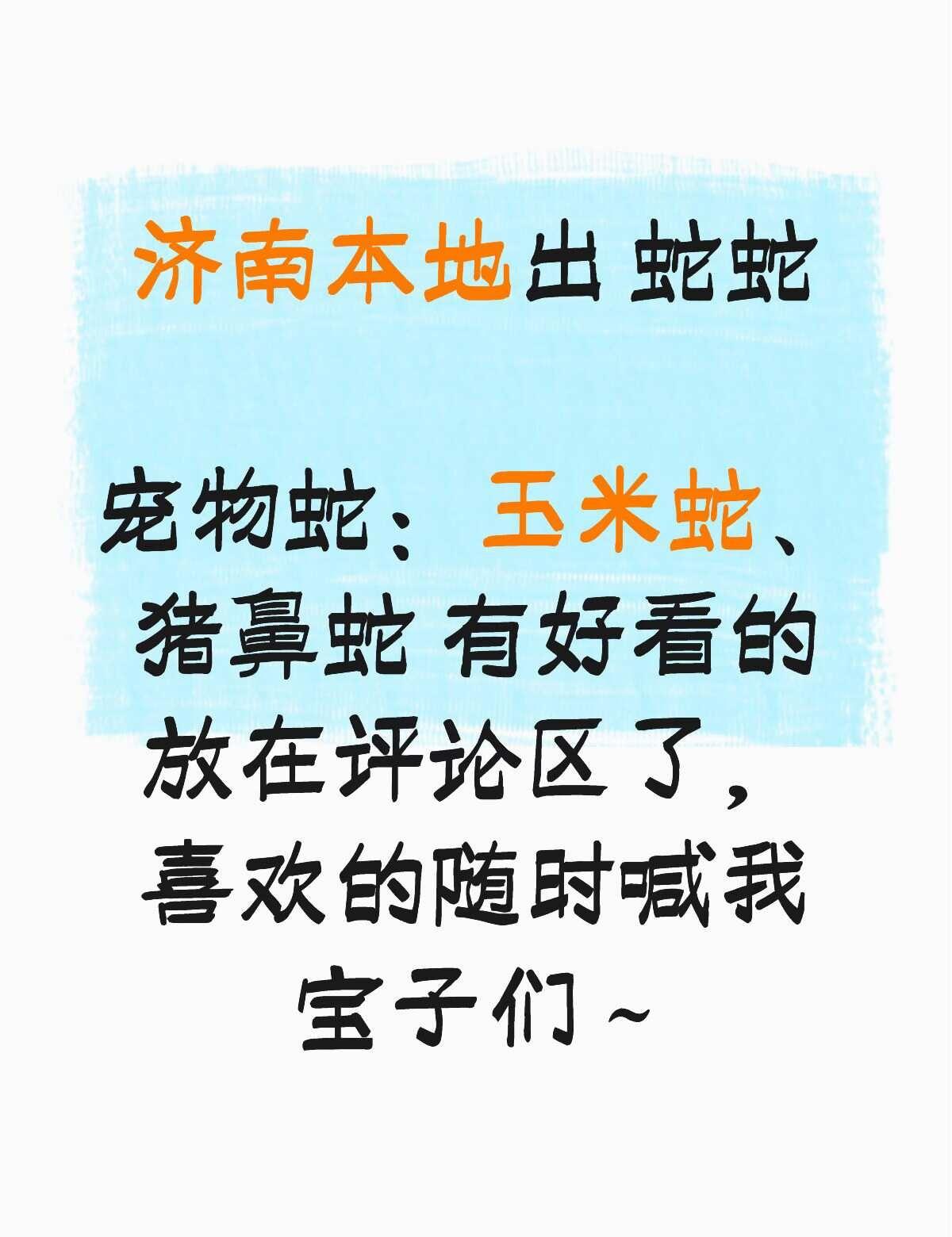 济南本地玉米蛇 猪鼻蛇
另有各种守宫 睫角、豹纹、瘤尾 宠物蛇 评论区有爬行动物