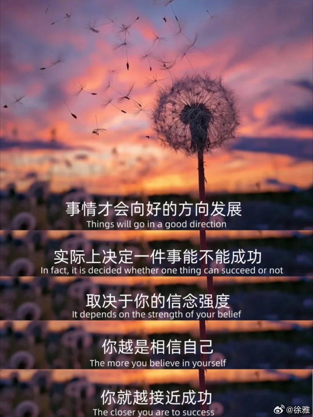 很有力量感的一段话。 