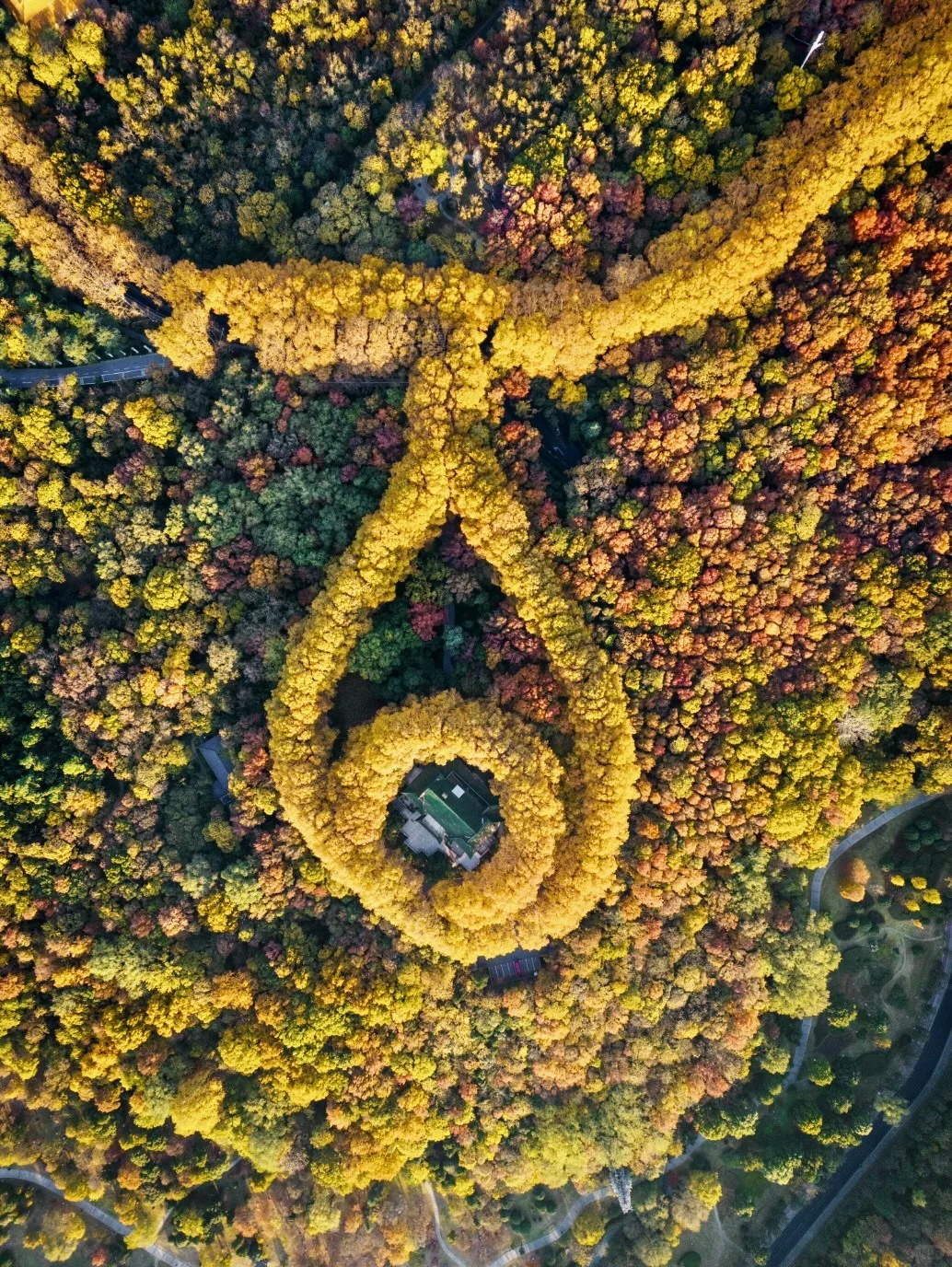 11月的南京美龄宫 美的不像人间📷