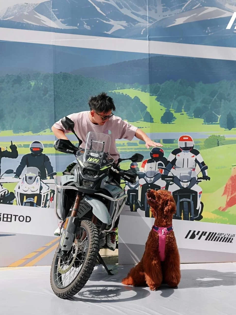 除了溜车，也能遛狗！