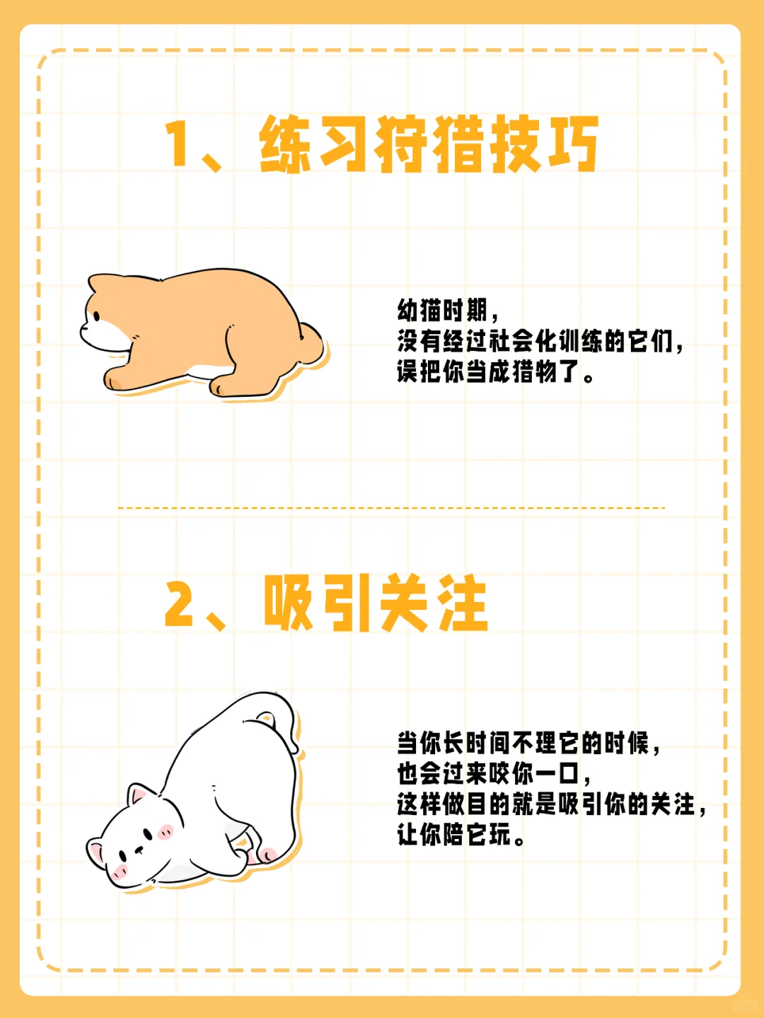 猫咪为何咬你？有这4种含义