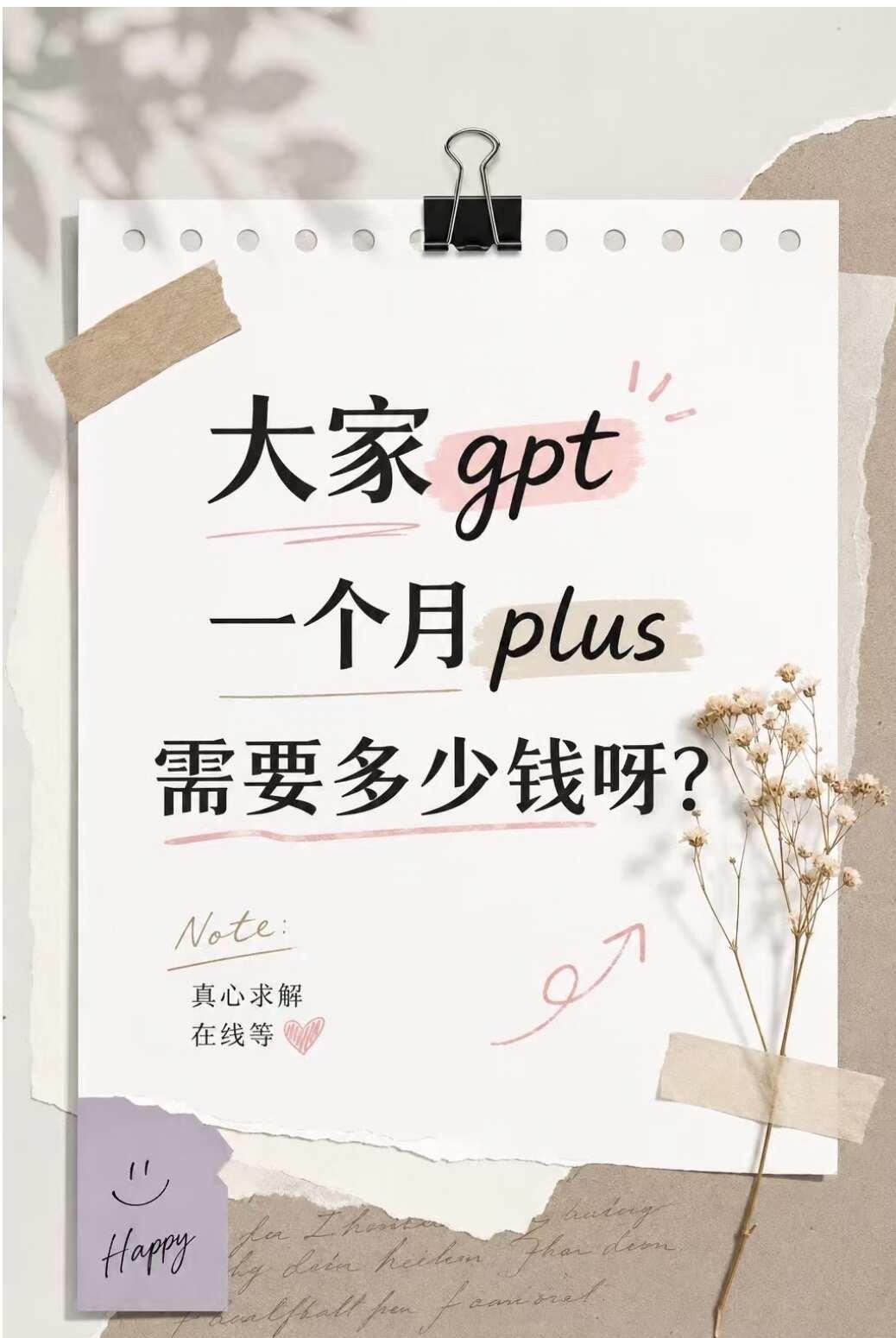 还有多少人不会用chatgpt plus？
前两天想着充了一个gpt会员，超级便