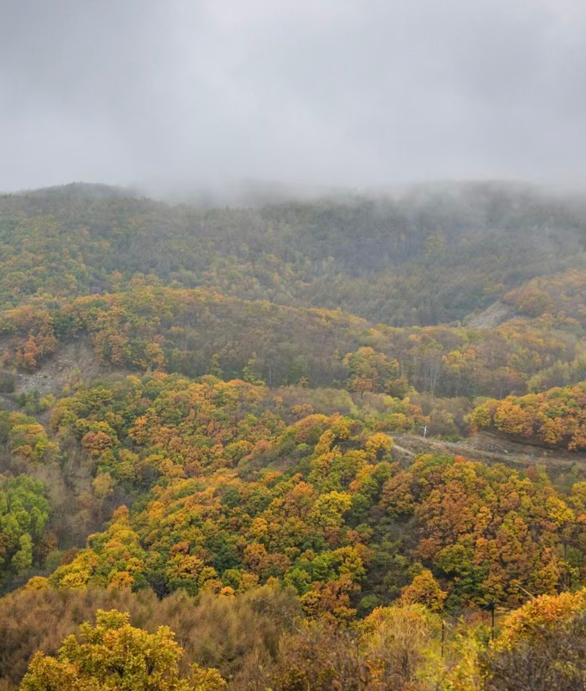 北京房山的深秋格外美 房山的秋天，美得就像打翻的调色盘！尤其是​​百花山​​，作