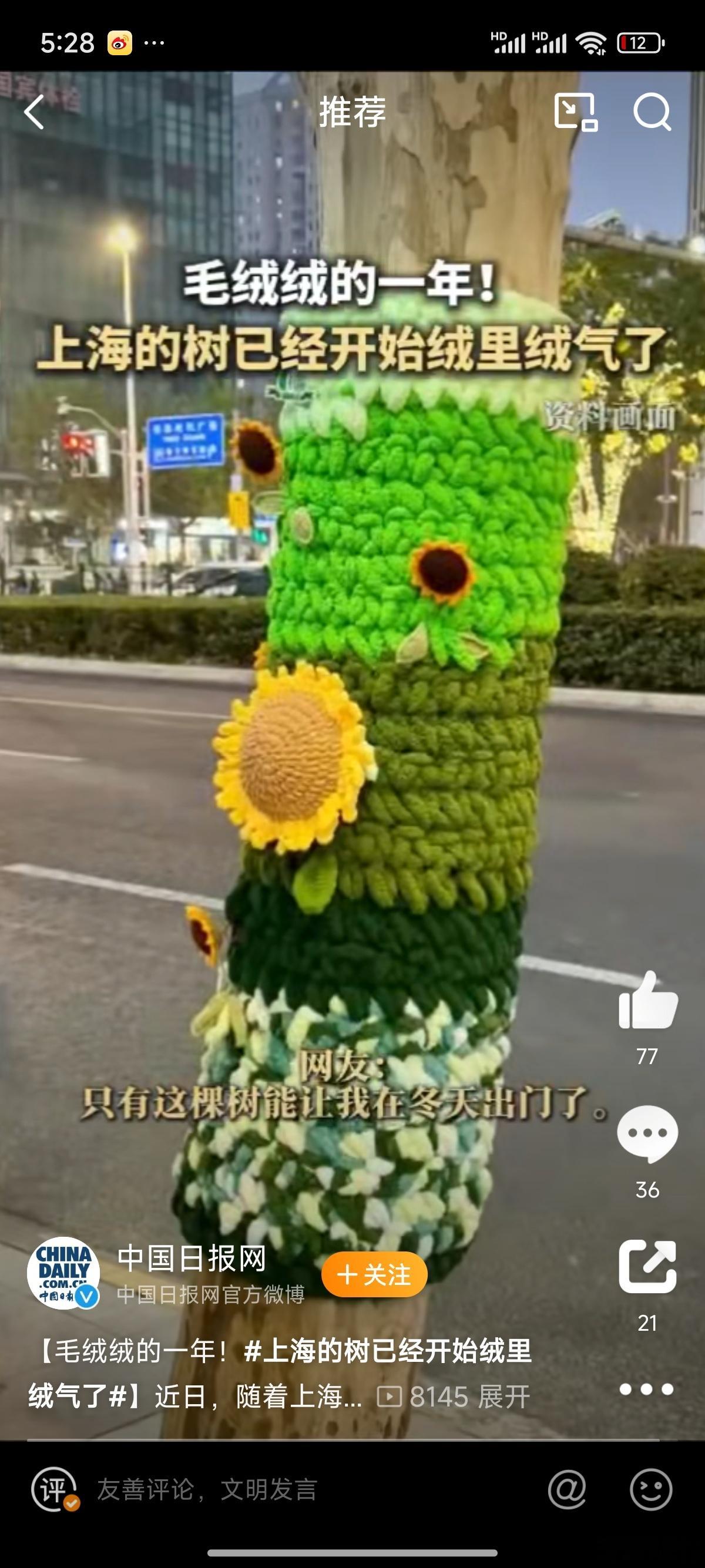 上海的树已经开始绒里绒气了  只有这棵树能让我在冬天出门了 上海街头换上新装的树
