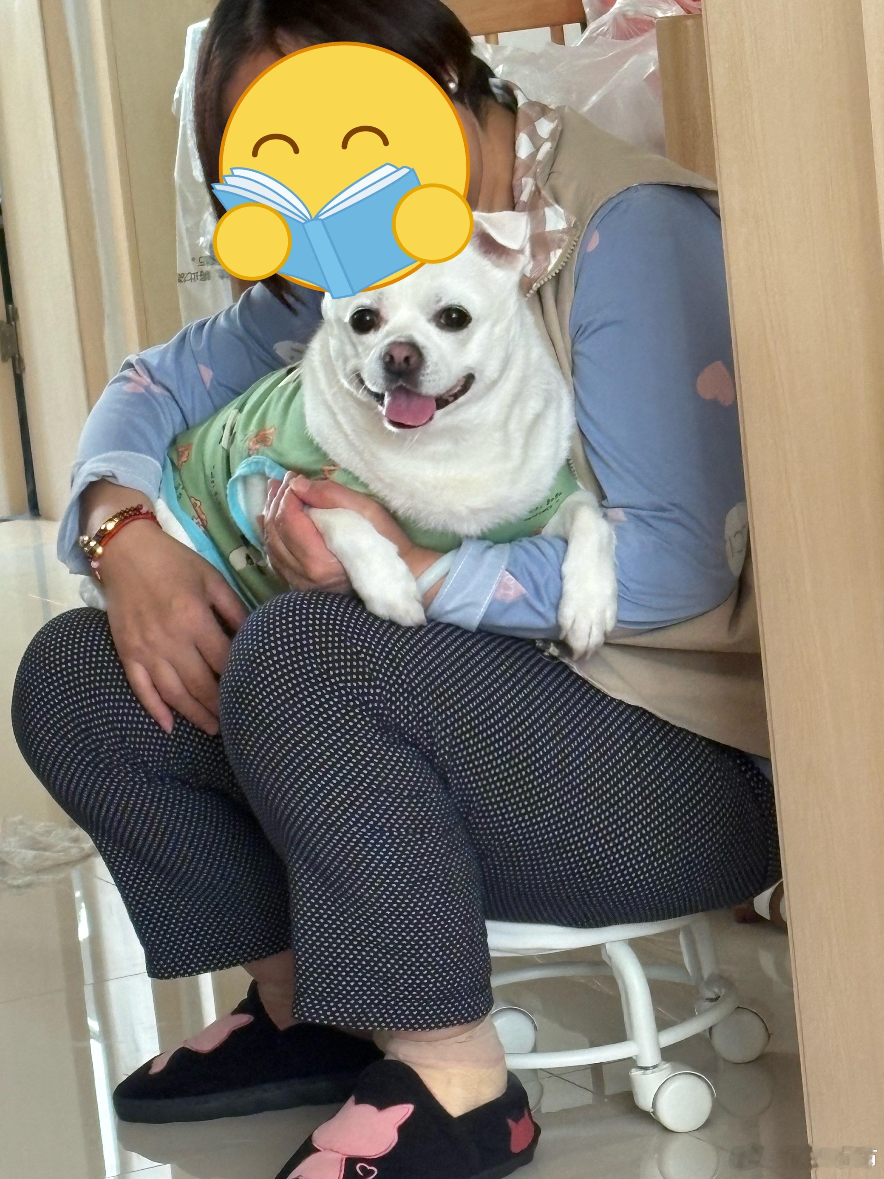 我家狗比绝大多数老公干净整洁。我家狗，每天早晚我妈妈都会给刷牙防止牙结石。大小便