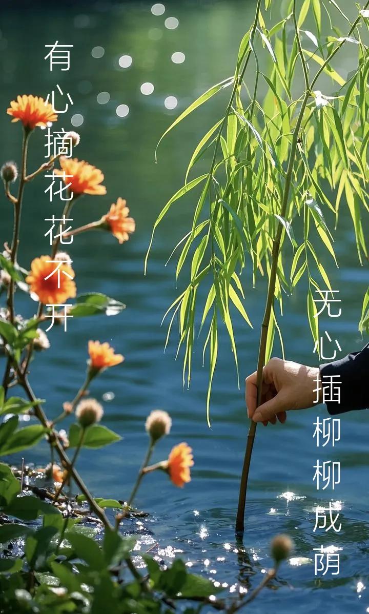 写头条，越来越淡，有时真是“有心摘花花不开，无心插柳柳成荫”，有时无意中写的东西