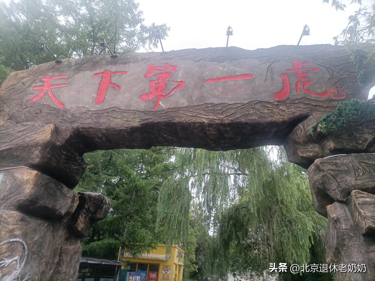 同方股份的“暗劫”：被“协商定价”锁死的数十亿利润
同方数科承接中核全产业链数字