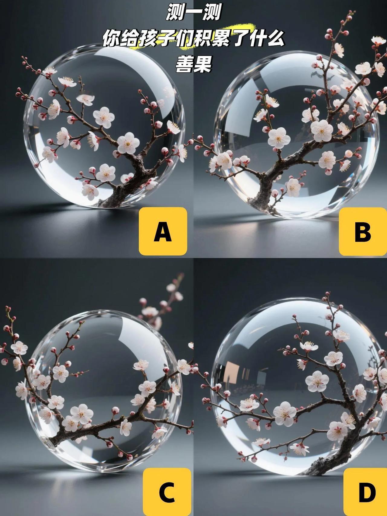 测一测你给孩子们积累的什么善果？
下面四幅图的幸运球球，
你会选择哪一幅图的呢？