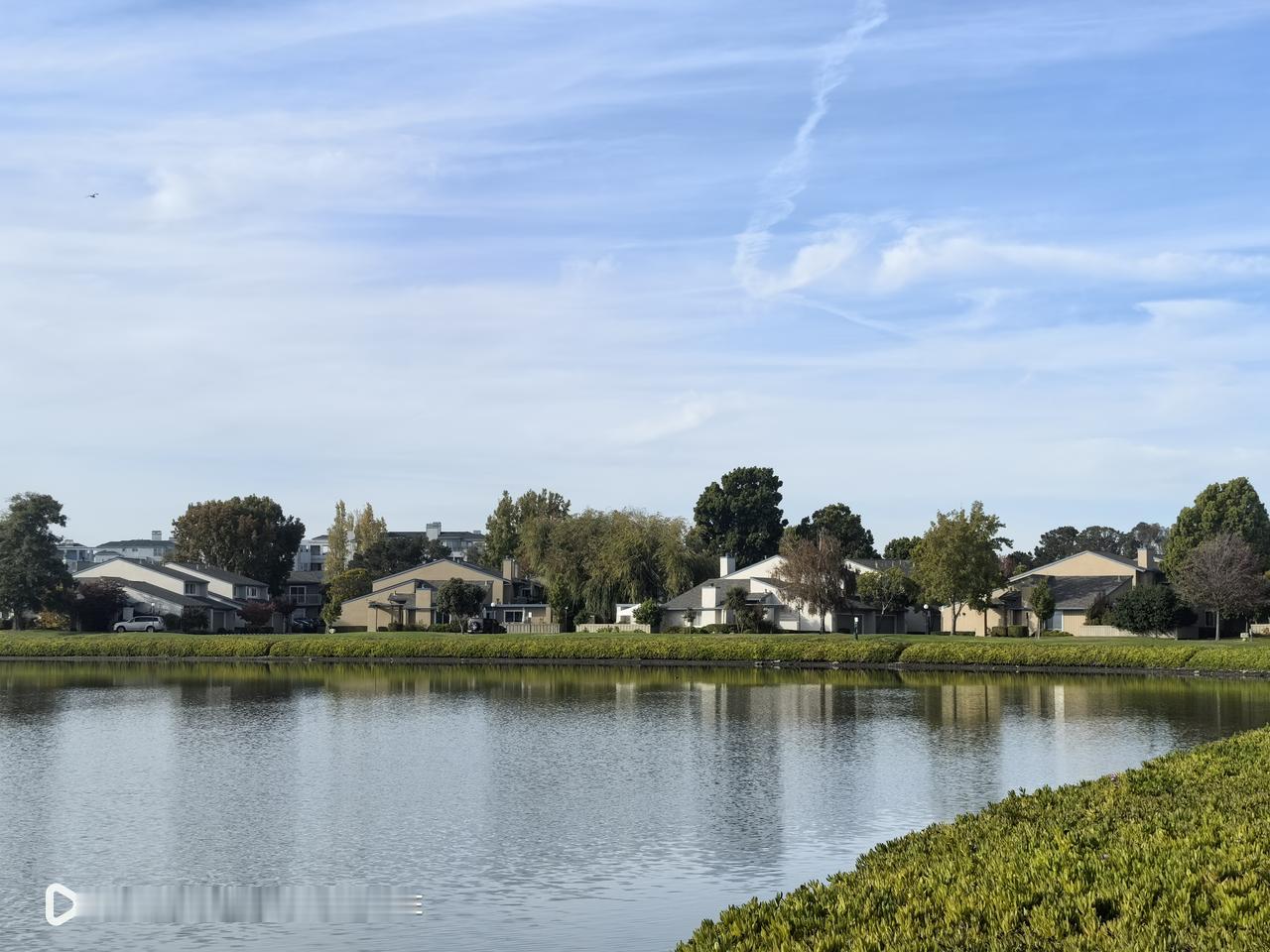 冬日生活打卡季福斯特城还没有冬天的味道。以为立冬过了，湾区也应该冷起来了，这是我