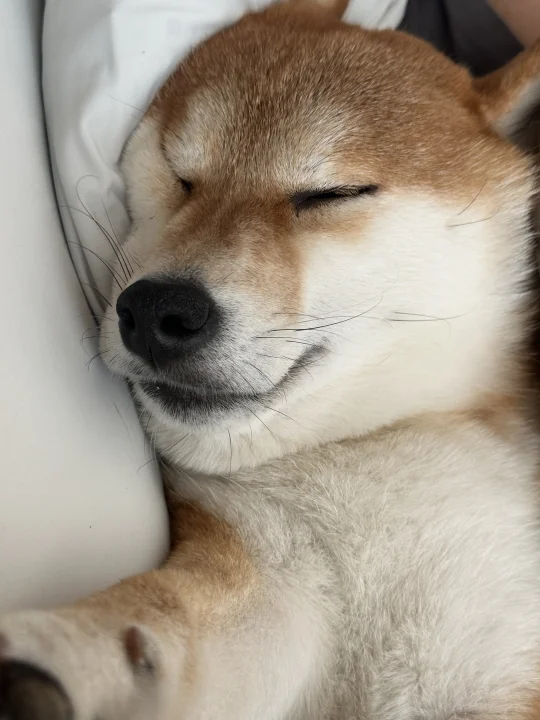 下班回家的我看到这一幕