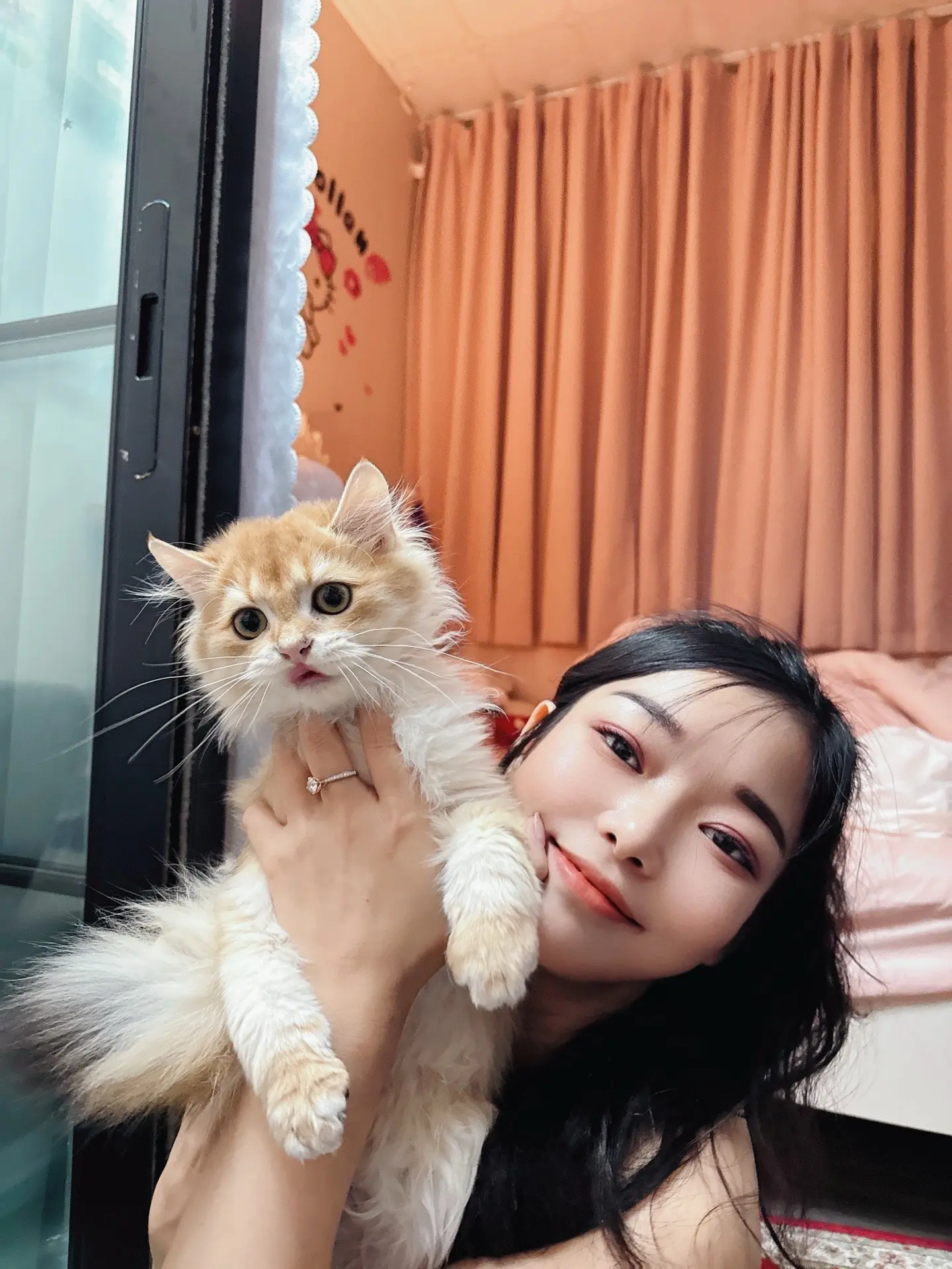 谁不为小猫咪着迷呢