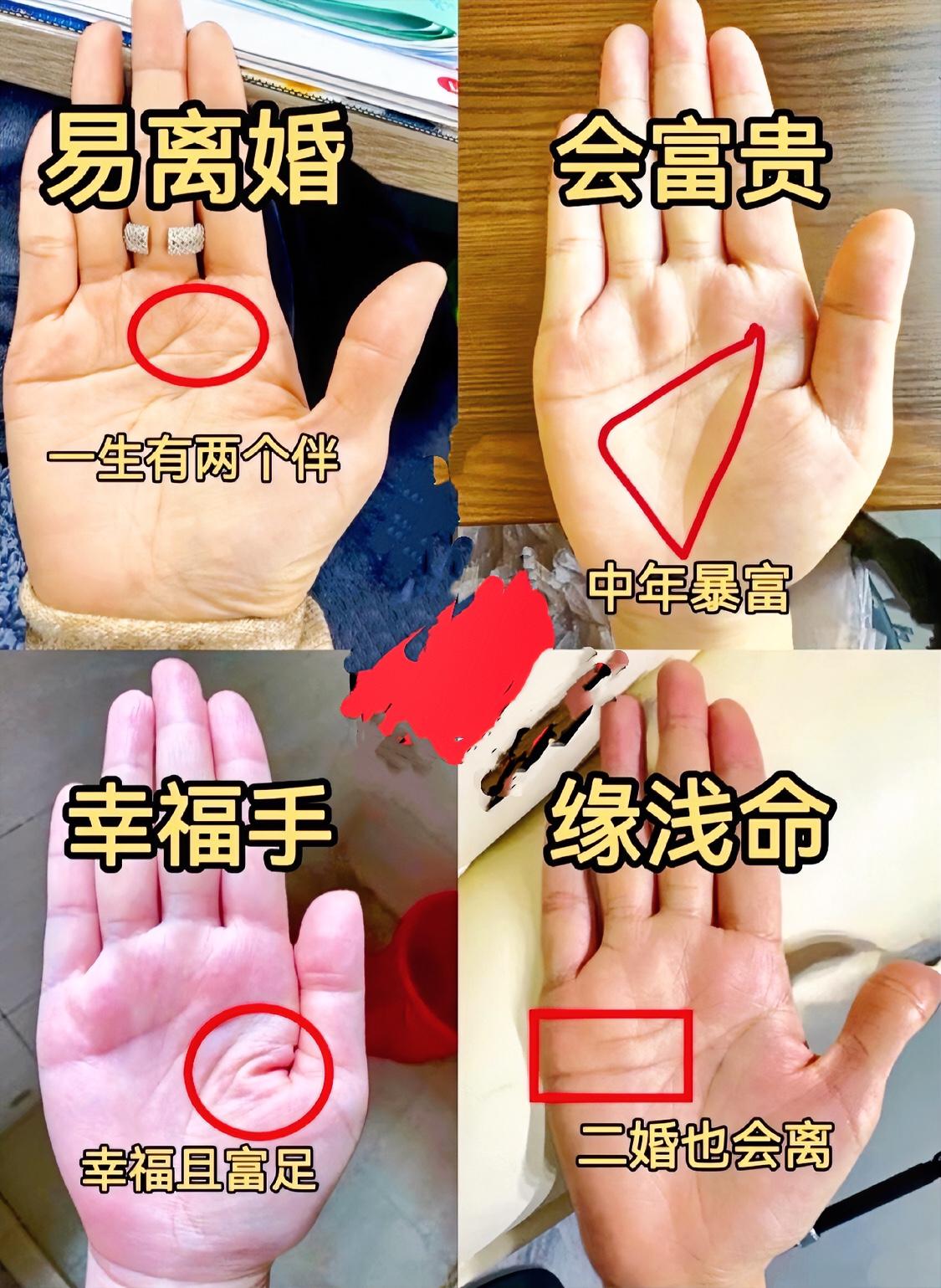 你们相信吗晒图笔记大赛妙笔生花创作挑战